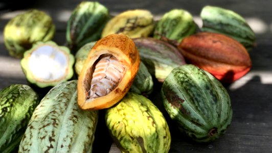 Natural Foods Vegetable Local Food Food
