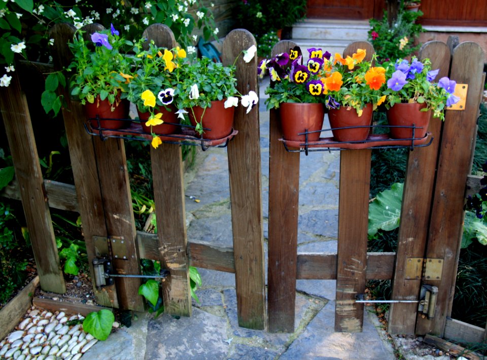 Flower Plant Floristry Flora