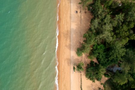 Aerial Photo Of Trees On Beach photo