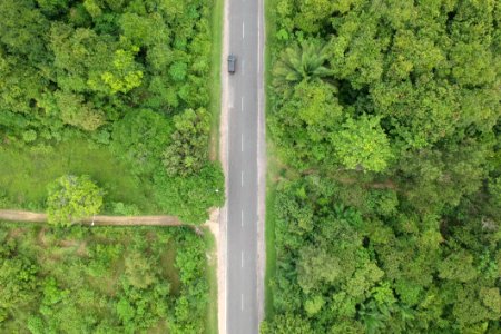 Aerial Photo Of Black Vehicle On Grey Concrete Road Between Forest photo
