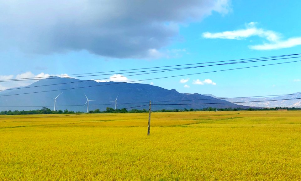 Agriculture Country Countryside