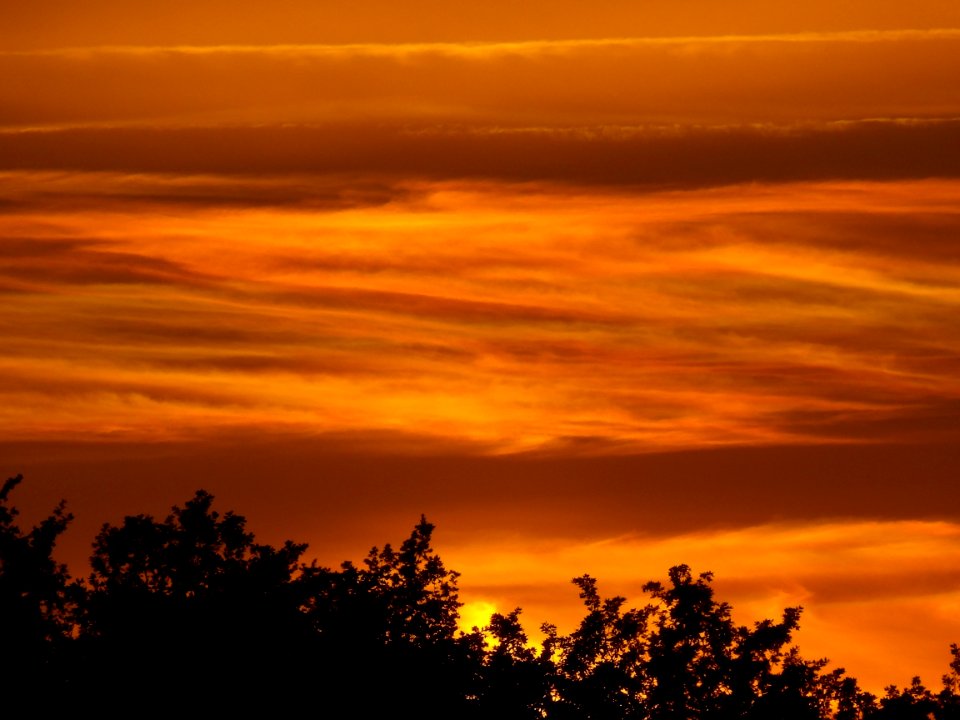 Sky Red Sky At Morning Afterglow Sunrise photo