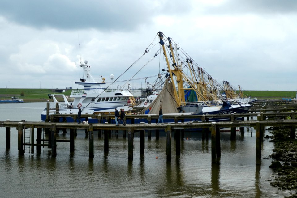 Ship Fishing Vessel Boat Water