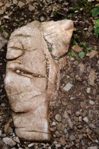 Rock Stone Carving Bedrock Archaeological Site photo