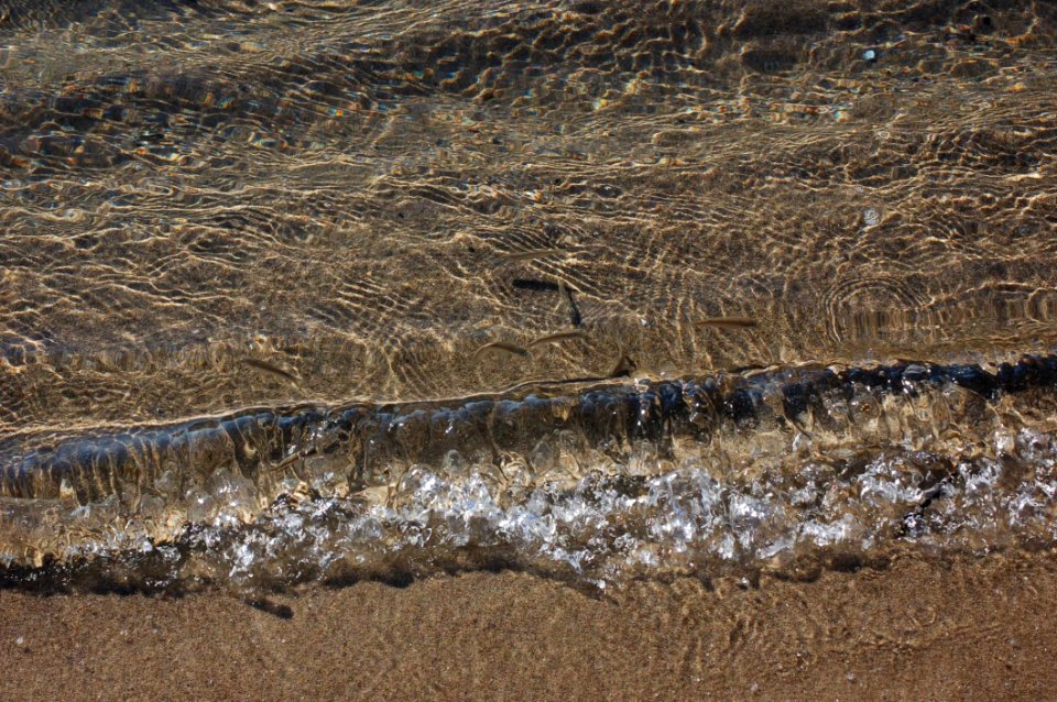 Water Geology Wood Soil