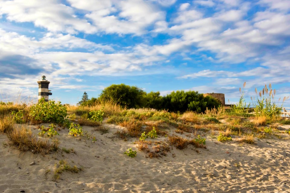 Sky Ecosystem Vegetation Shrubland
