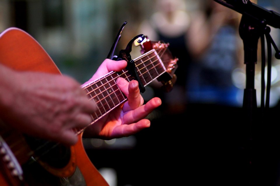 Musical Instrument Guitar String Instrument Accessory Guitarist
