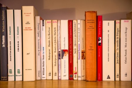 Shelving Book Shelf Bookcase