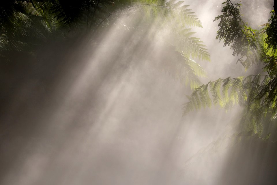 Nature Water Vegetation Mist