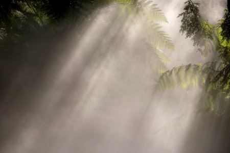 Nature Water Vegetation Mist photo