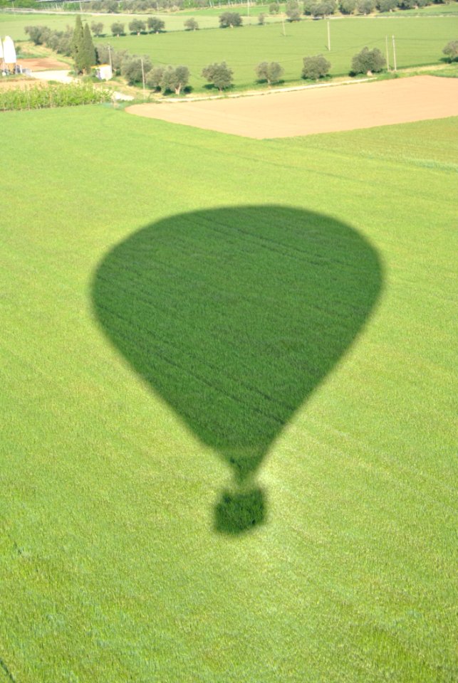 Grassland Green Field Grass