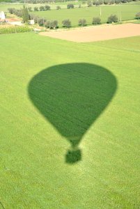 Grassland Green Field Grass photo