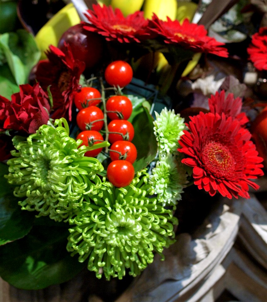 Flower Floristry Cut Flowers Plant
