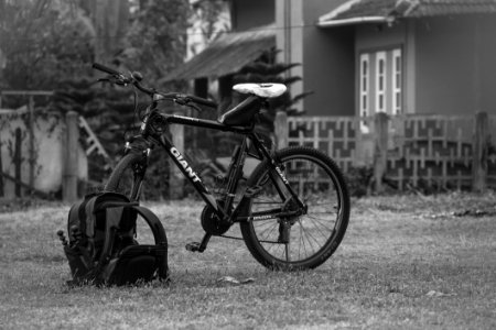 Land Vehicle Bicycle Black And White Vehicle photo