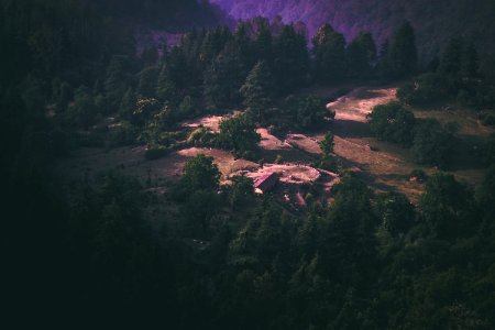 Birds Eye View