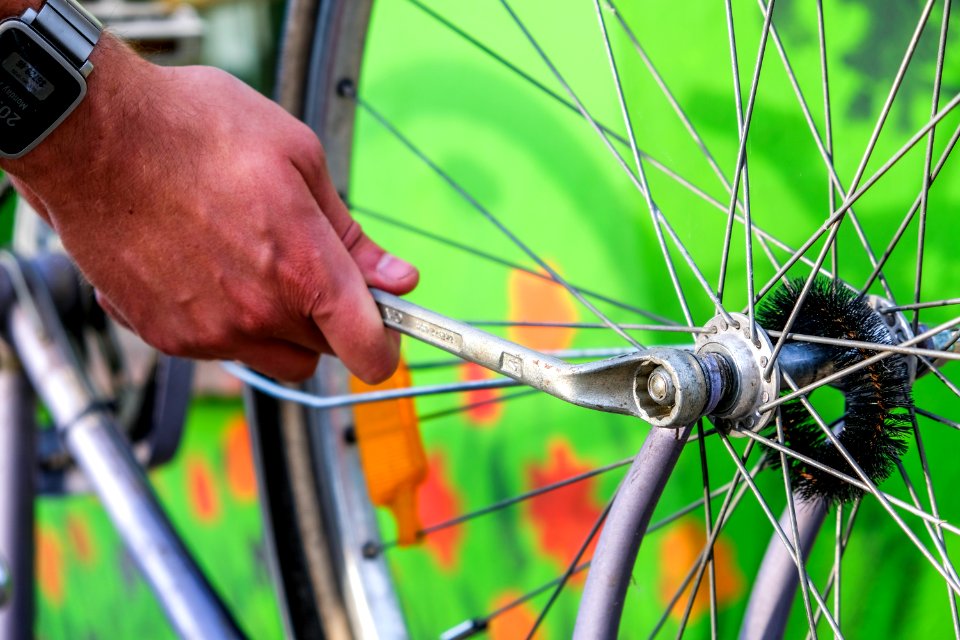 Adult Bicycle Bike