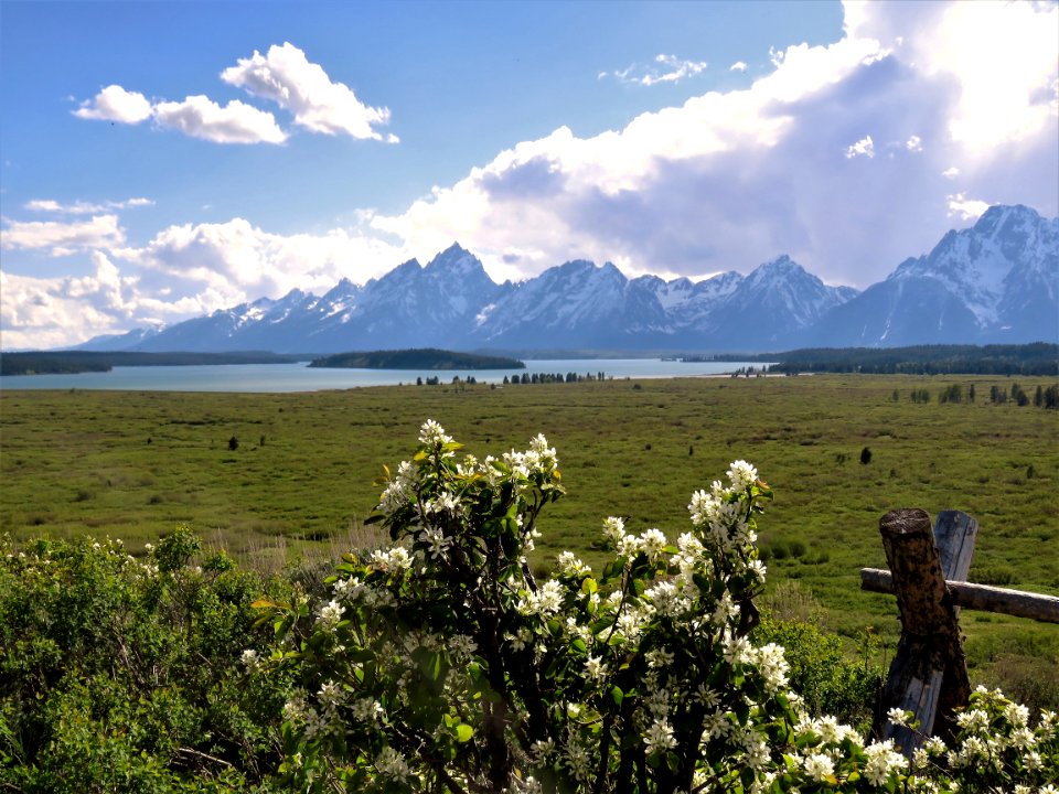 Wilderness Ecosystem Grassland Sky