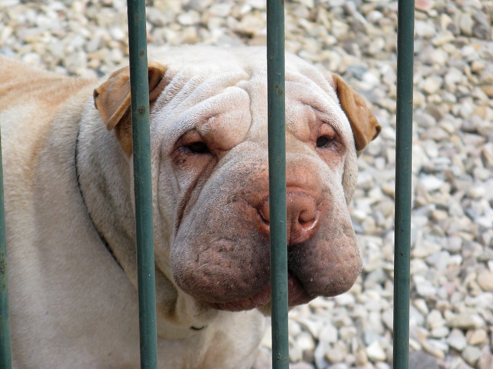 Plumstead south africa behind bars