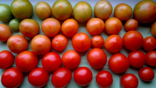 Natural Foods Plum Tomato Fruit Vegetable photo