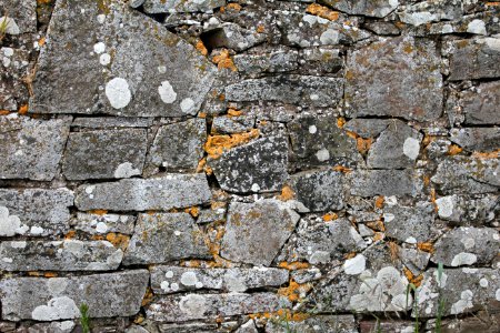 Stone Wall Wall Rock Cobblestone photo