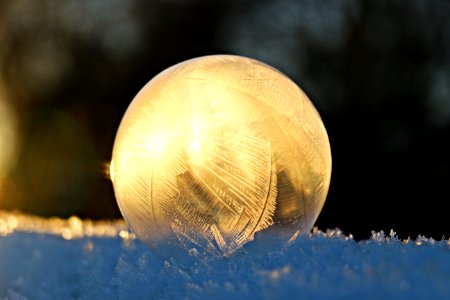 Atmosphere Of Earth Close Up Macro Photography Sky photo