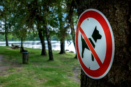 Tree Sign Signage Grass photo