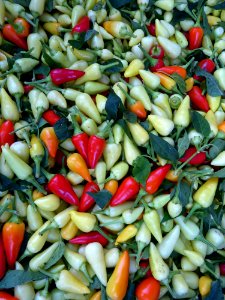 Vegetable Food Chili Pepper Natural Foods photo