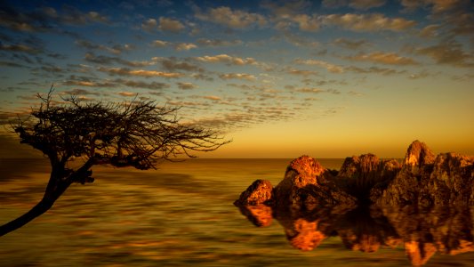 Sky Ecosystem Morning Dawn
