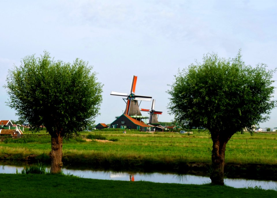 Windmill Tree Sky Field