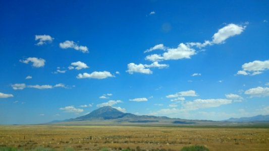 Sky Grassland Ecosystem Plain