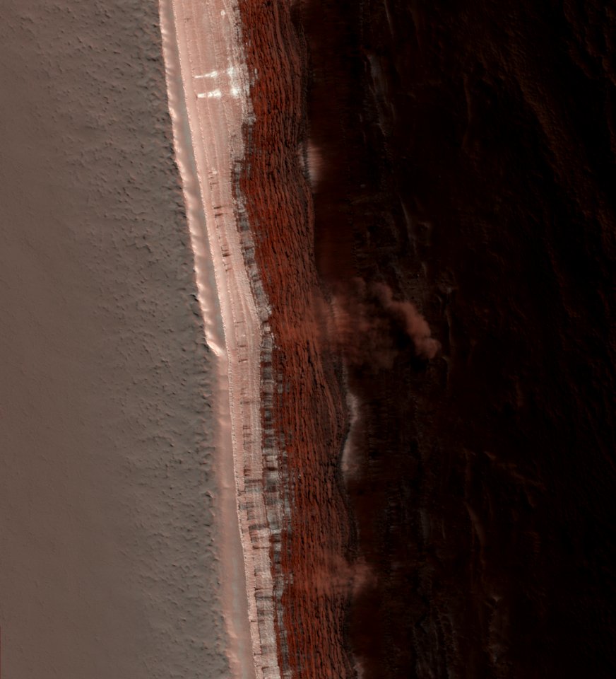 Wood Texture