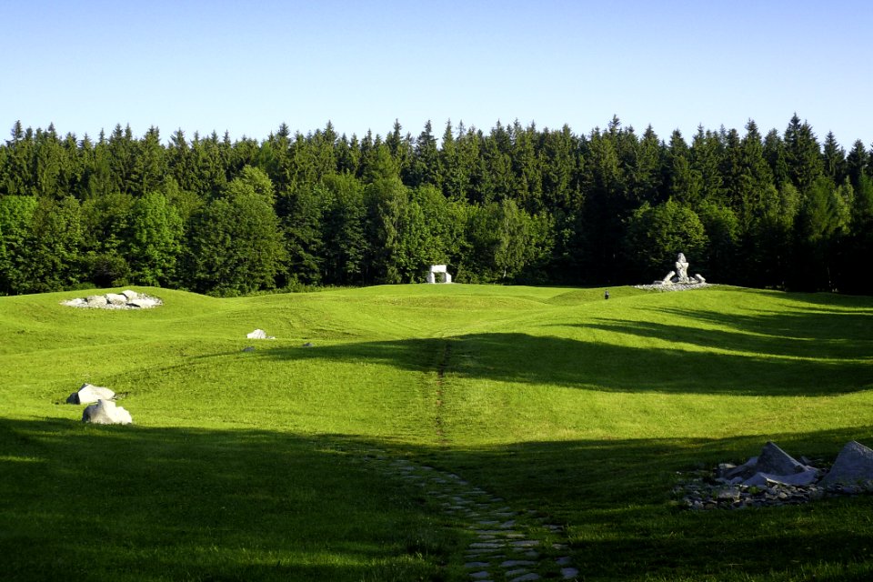 Grassland Pasture Lawn Grass