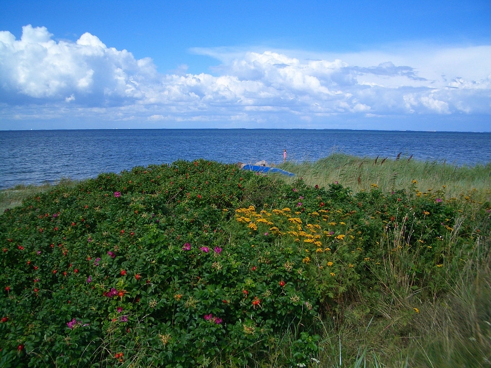 Scenic island sky