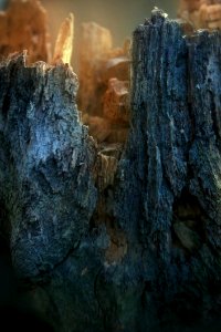 Rock Formation Tree Trunk photo