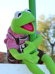 Green Stuffed Toy Toy Frog