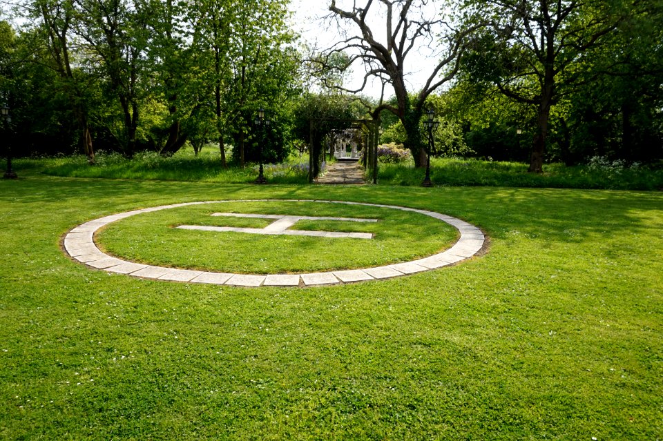 Grass Lawn Yard Garden