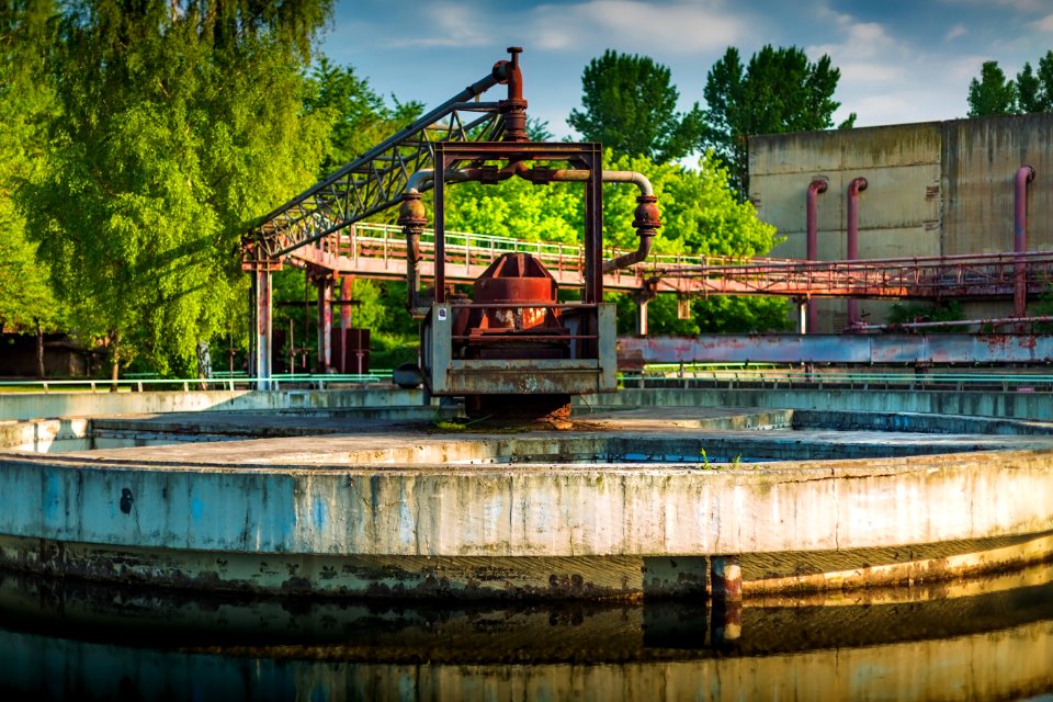 Water Waterway Tree Water Resources