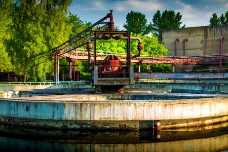 Water Waterway Tree Water Resources