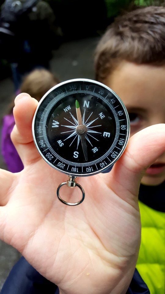 Wrist Watch Hand Finger