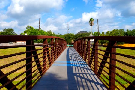 Bridge Sky Walkway Boardwalk