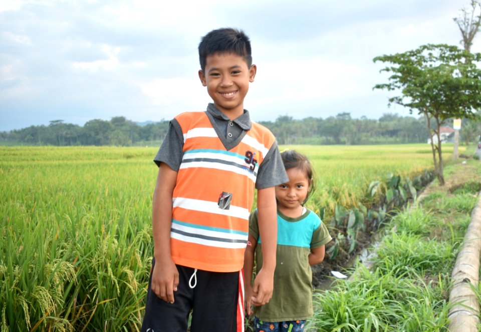 People Agriculture Plant Paddy Field