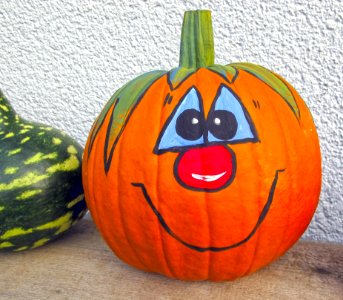 Pumpkin Calabaza Cucurbita Winter Squash photo