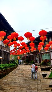 Flower Sky Plant Tourism