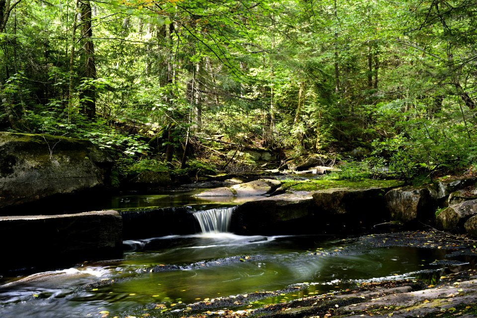 Water Stream Nature Creek