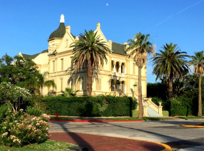 Landmark Mansion Palm Tree Property