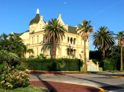 Landmark Mansion Palm Tree Property photo