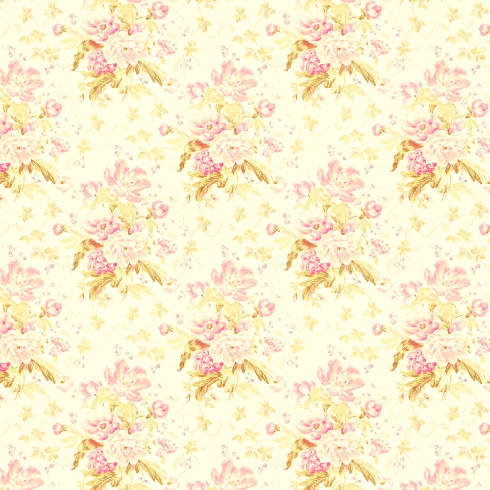 Pink Flower Blossom Petal