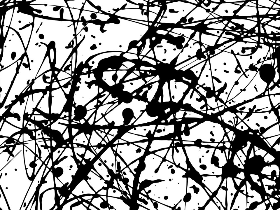 Branch Black And White Black Tree