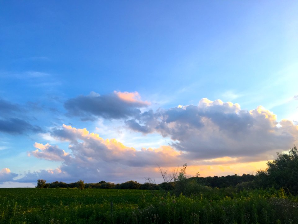 Sky Cloud Field Grassland