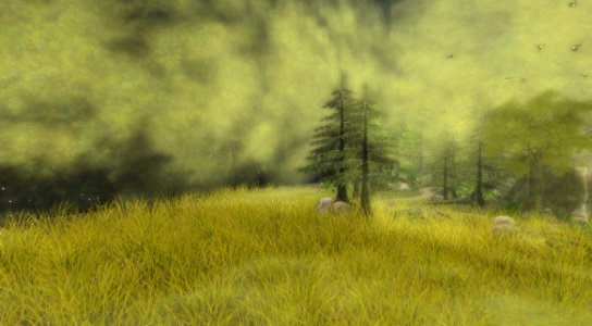 Ecosystem Grassland Vegetation Grass